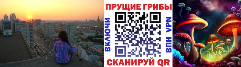 Псилоцибиновые грибы Magic Shrooms  наркота  Карасук 